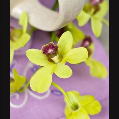 gallery thumbnail for item 2