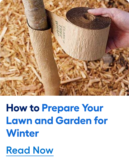 Prepare Your Lawn and Garden for Winter. Read Now.