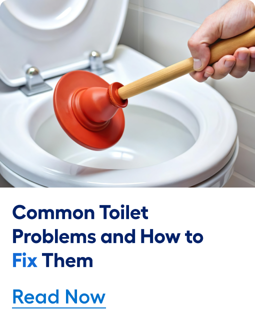 Common toilet problems and how to fix them. Read now. 