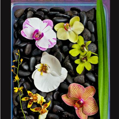 gallery thumbnail for item 0