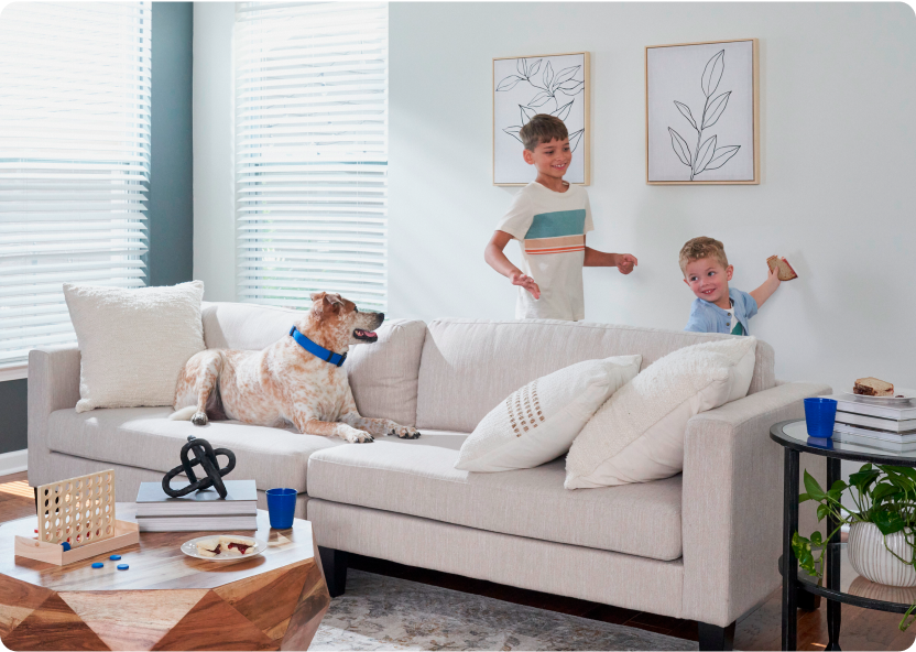 2 boys and a dog playing in a living room painted with STAINMASTER paint.