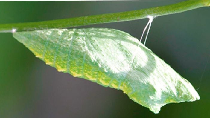 gallery thumbnail for item 2