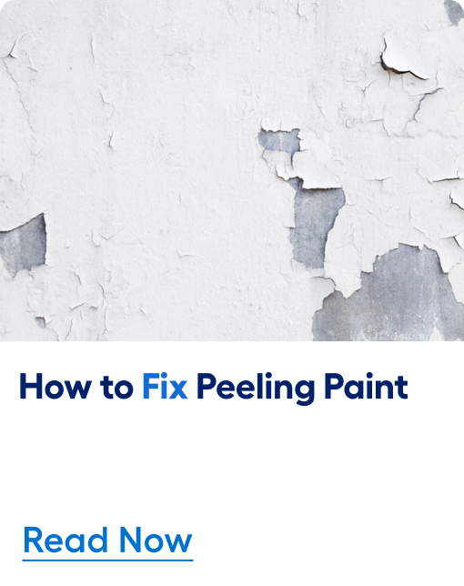 How to fix peeling paint. Read now. 