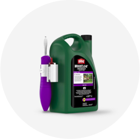 A green jug of Ortho lawn weed killer with an attached purple and white spray wand.