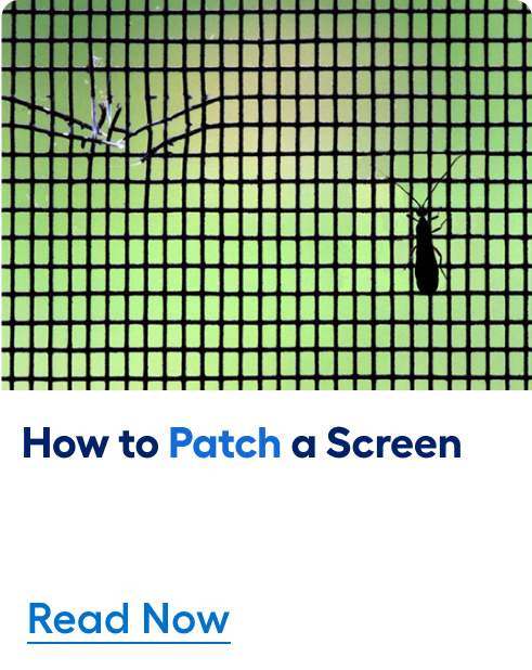 How to patch a screen. Read now. 
