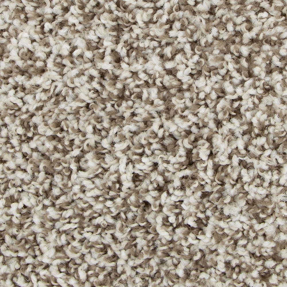 Caretaker Timeless Brown 18-oz sq yard Polyester Textured Indoor Carpet