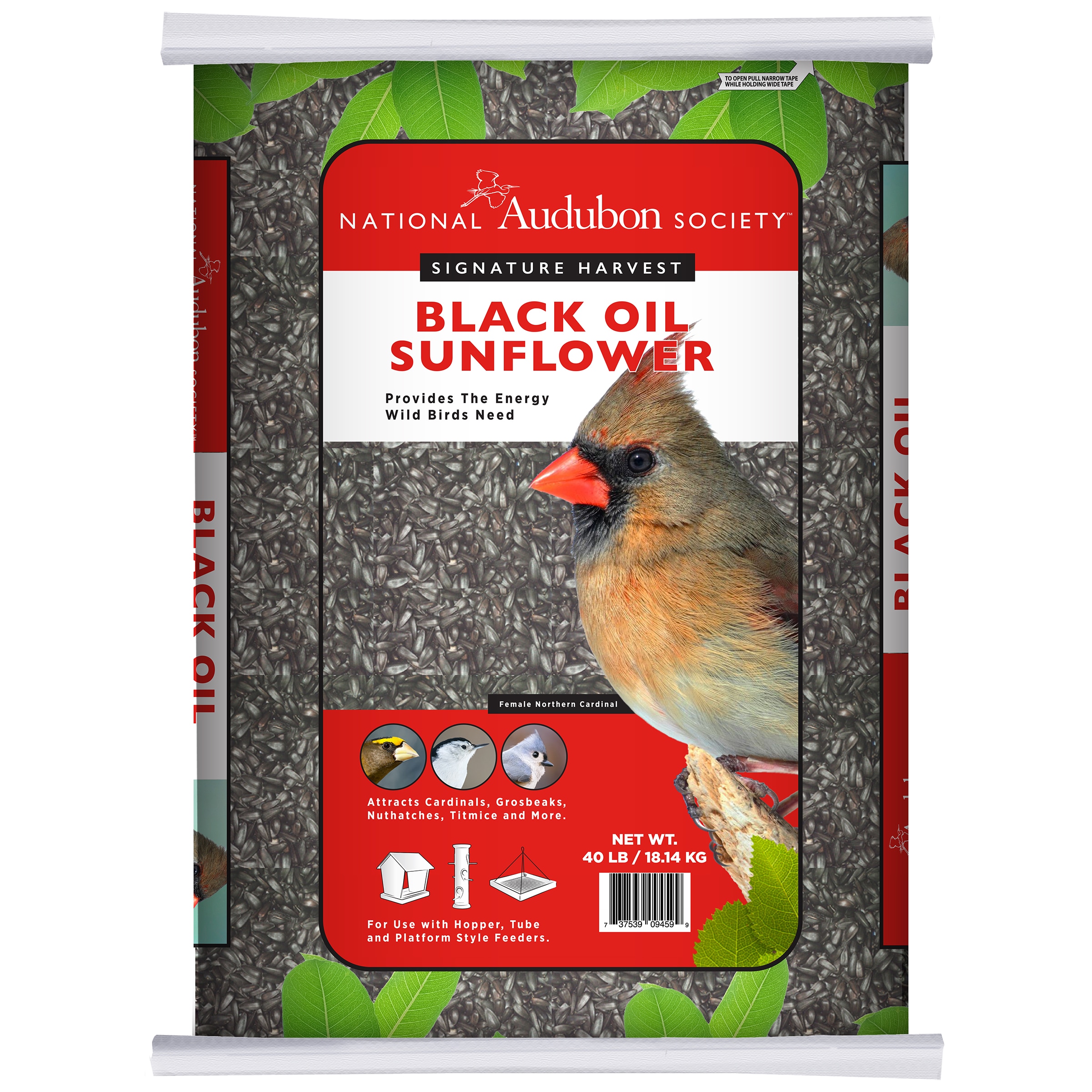 Black Oil Sunflower Seed Black oil sunflower Bird food 40 Pound(s)