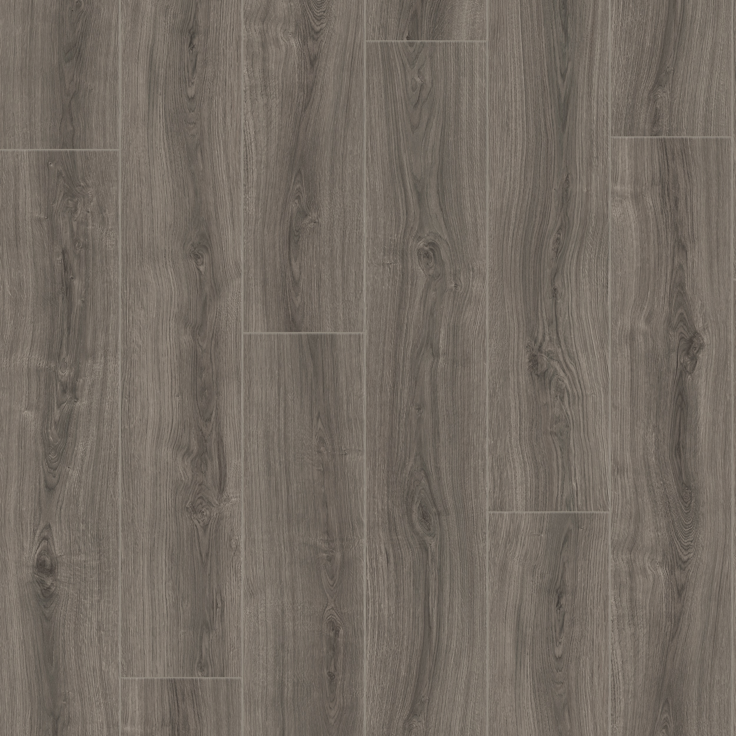 Trafford oak 8-mm T x 8-in W x 48-in L Laminate Flooring ( 21.26-sq ft / Carton )