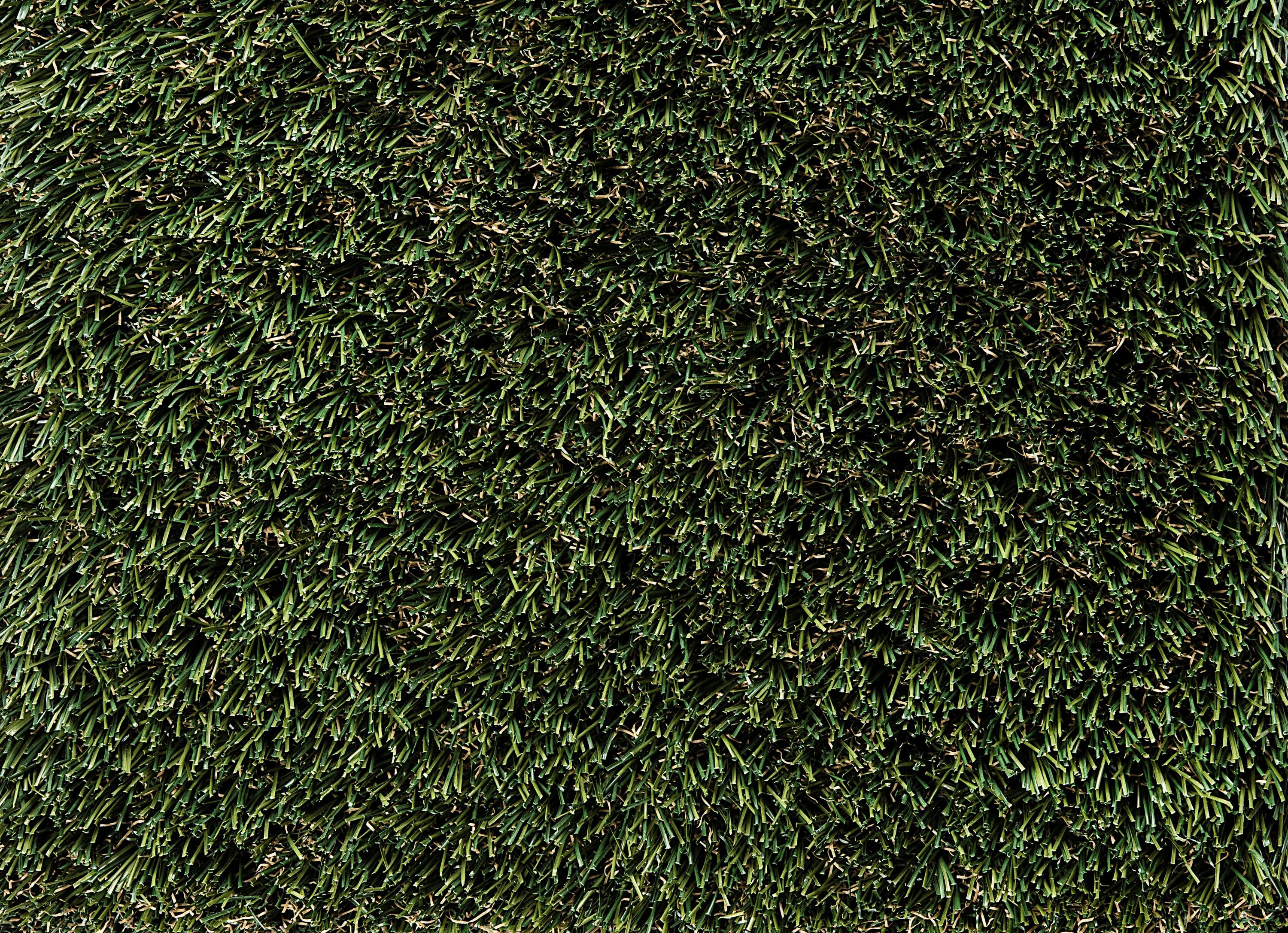 Artificial grass SYNLush Olive Roll-bar 12-ft Cut To Length Artificial Grass