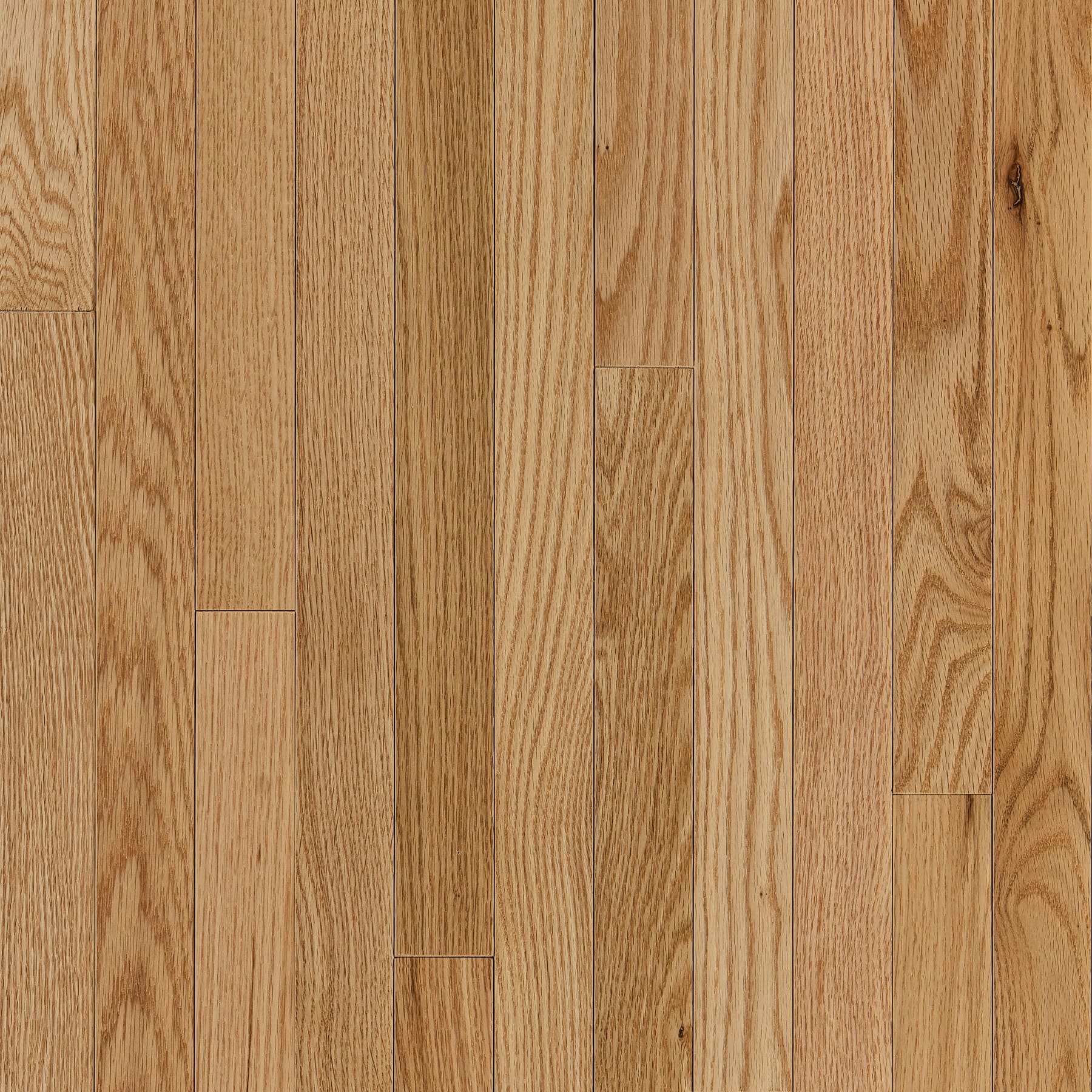 America's Best Choice Natural Red oak 3/4-in T x 2-1/4-in W Smooth/Traditional Solid Hardwood Flooring ( 20-sq ft / Carton )