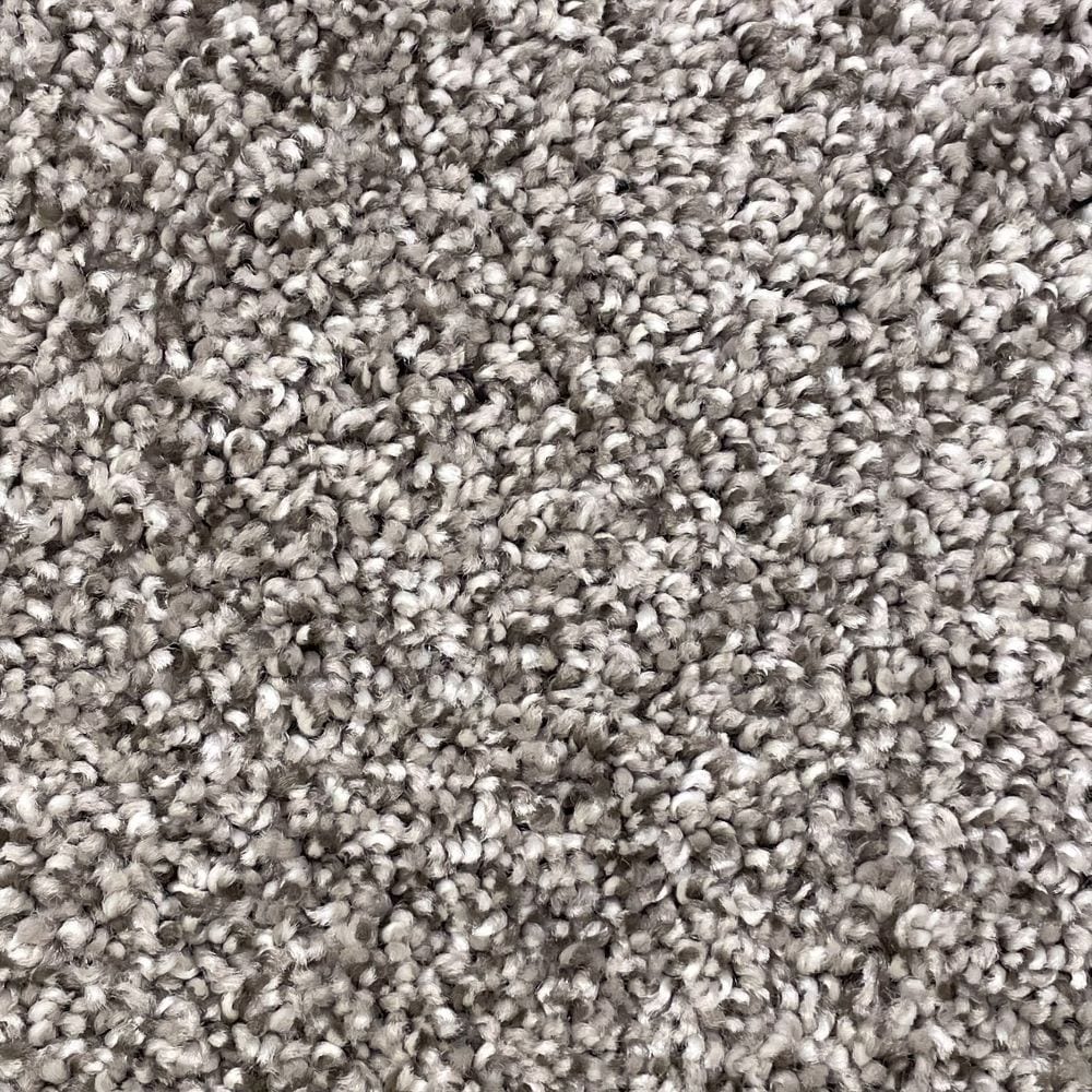 Notorious Gaucho Brown 36.0-oz sq yard Polyester Textured Indoor Carpet