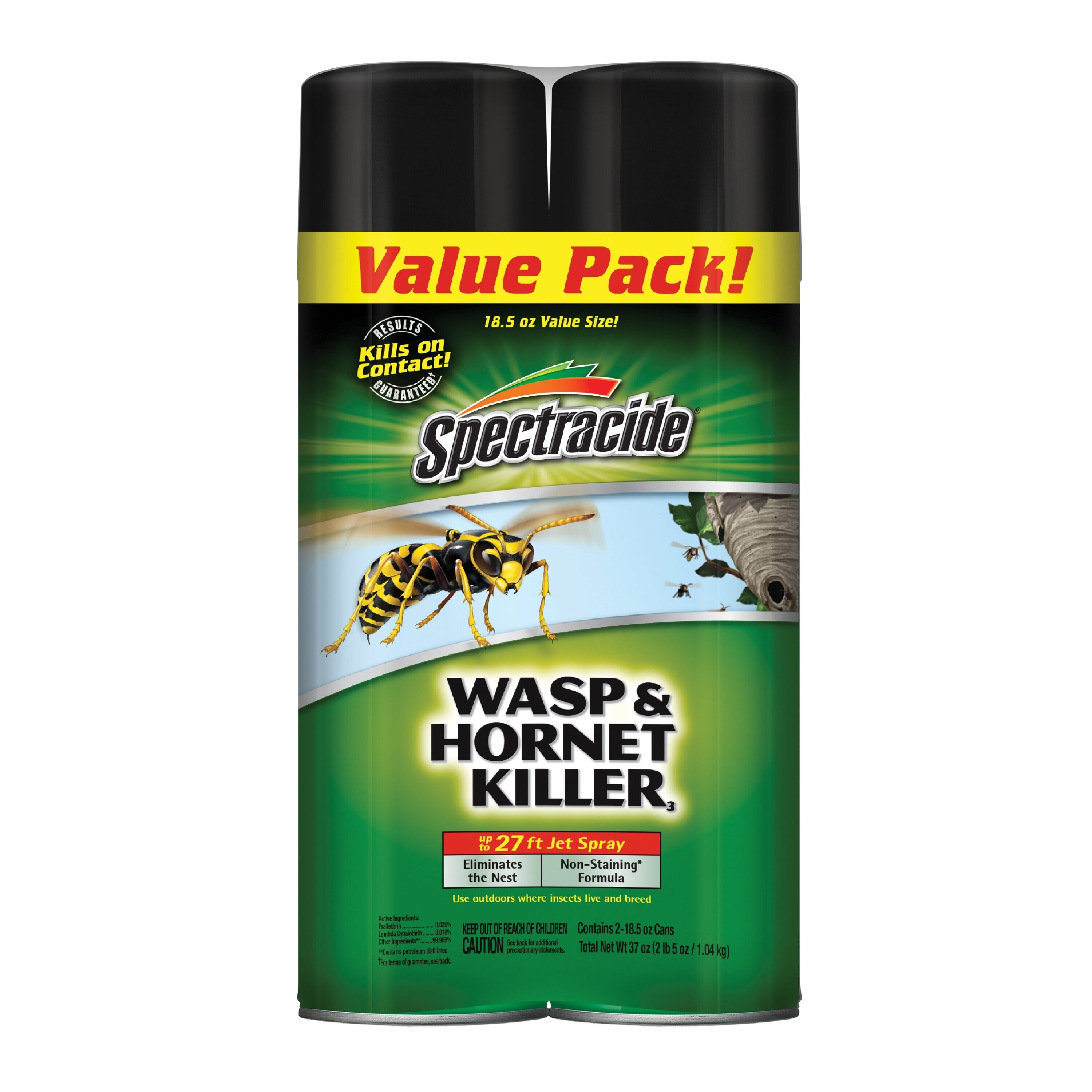 Wasp and Hornet 18.5 -oz Aerosol Insect killer 2 -Pack