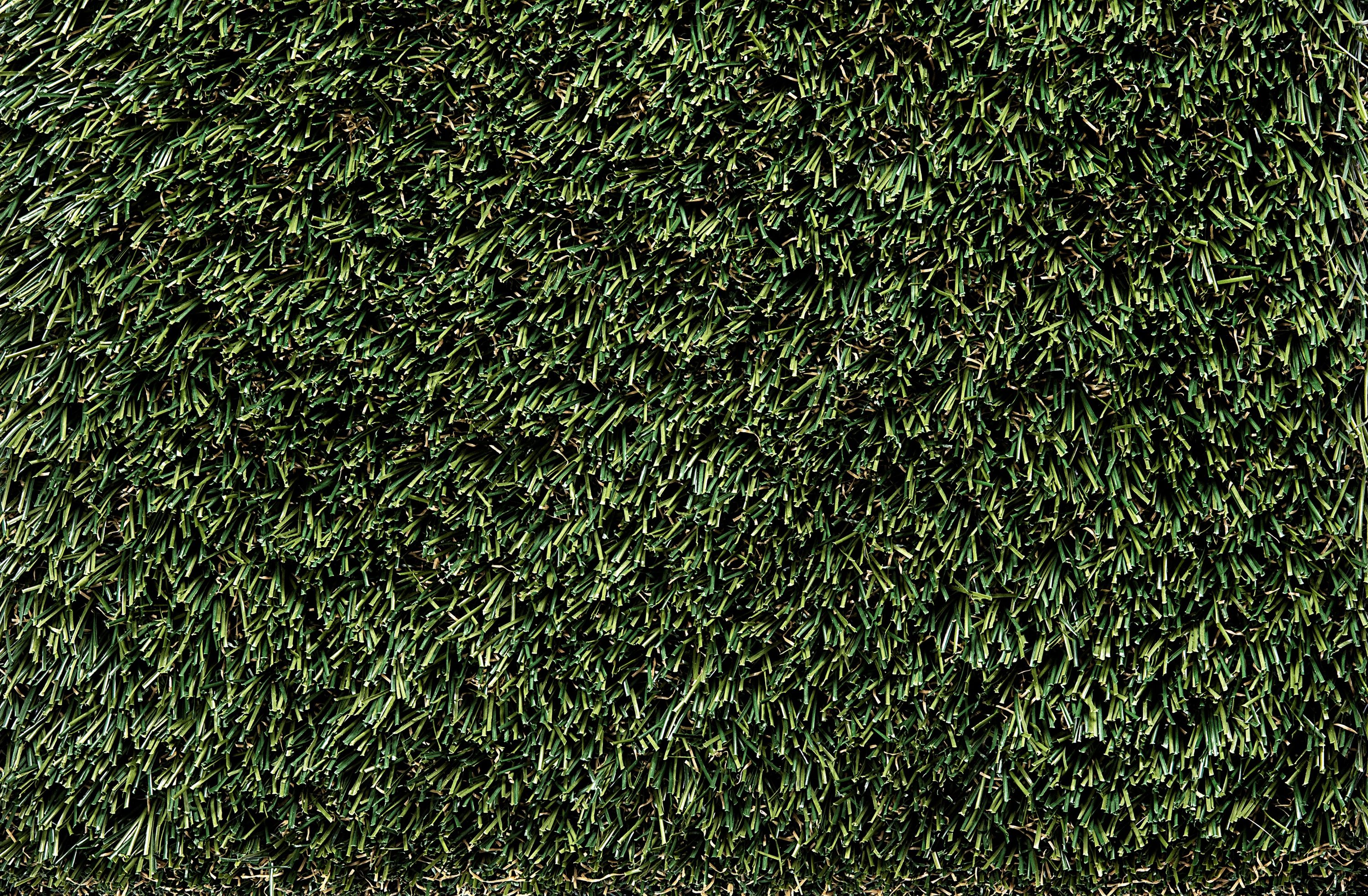 Artificial grass Fern 15-ft Cut To Length Artificial Grass
