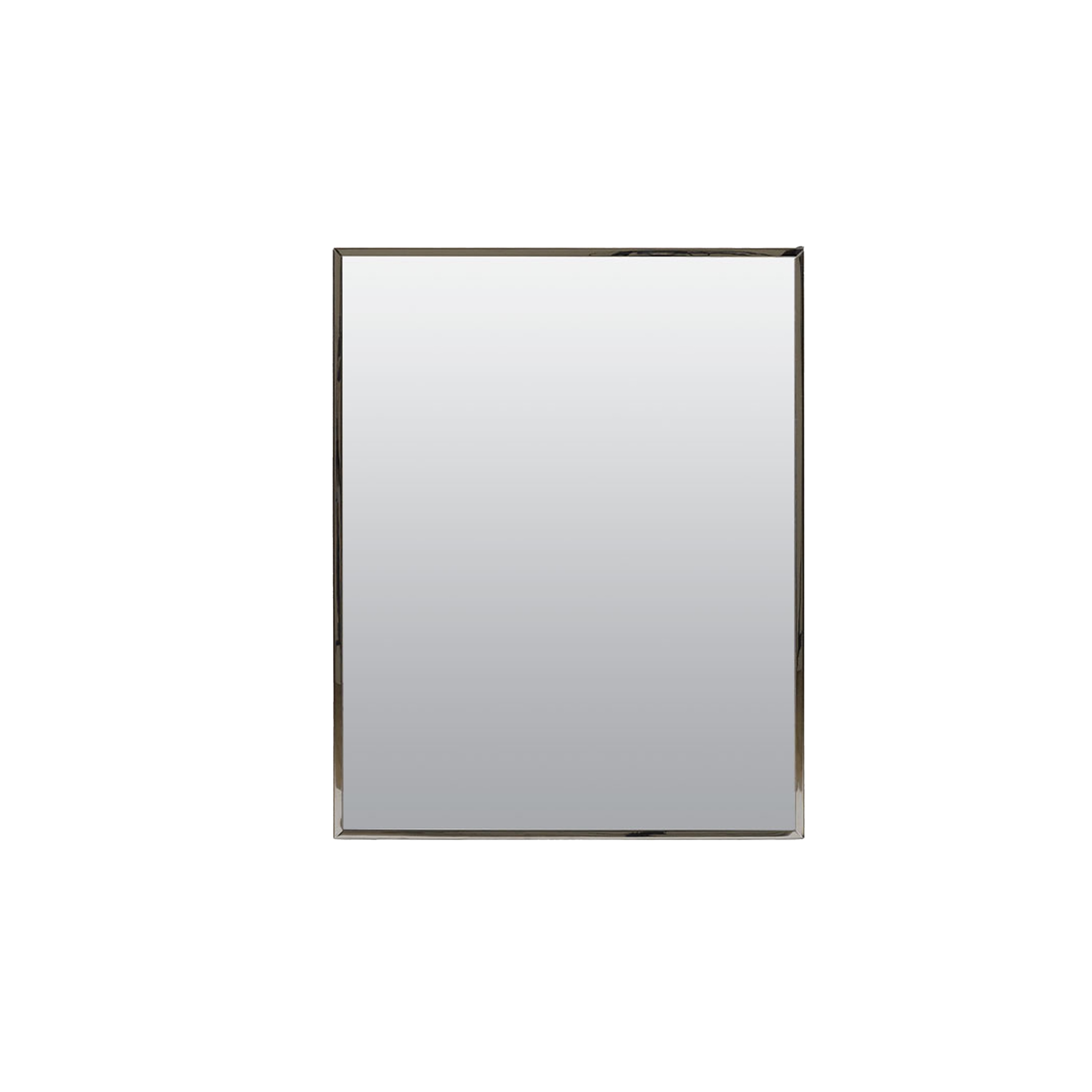 16.13-in x 20.13-in Surface/Recessed Mount Stainless steel Mirrored Rectangle Medicine Cabinet